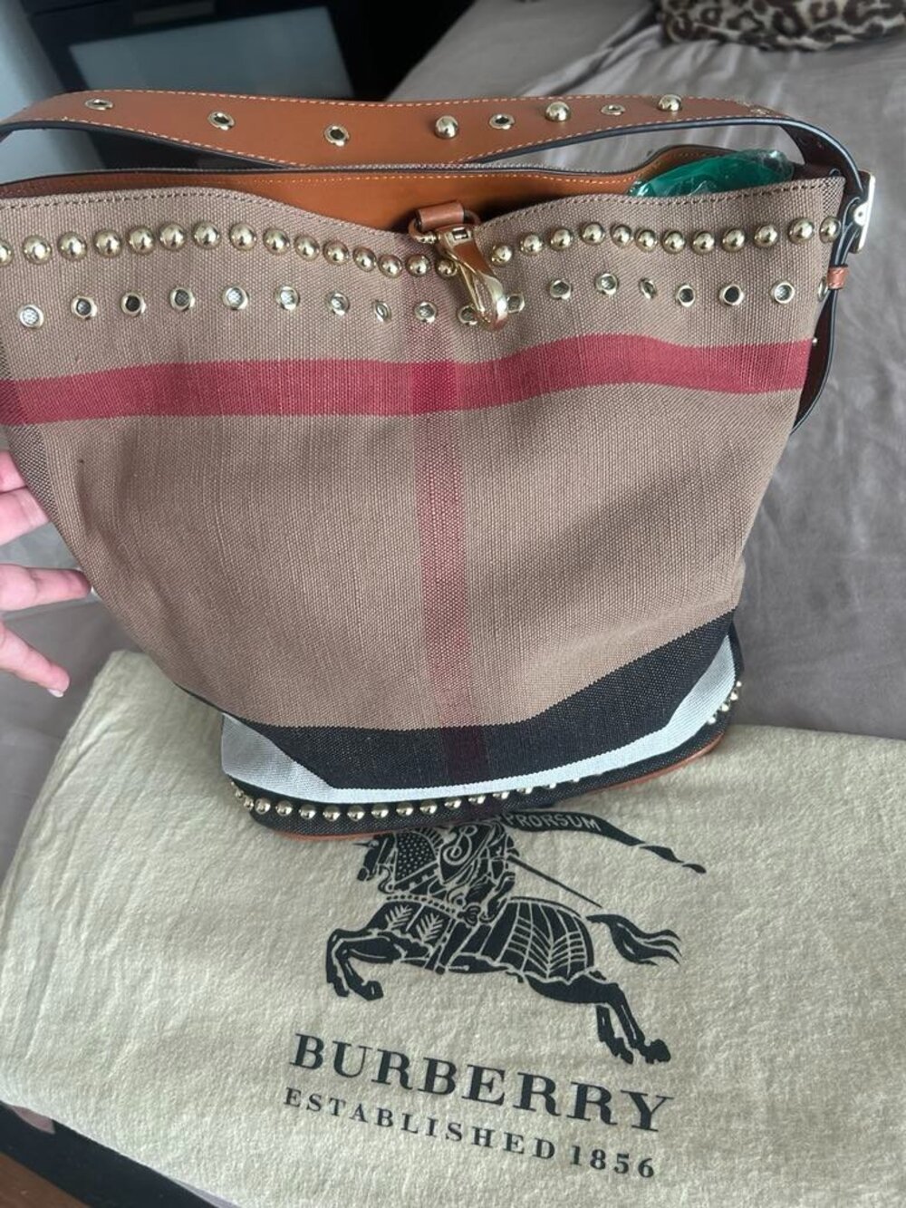 Burberry Authentic Ashby Hobo Nova Bag - Picture 2 of 13